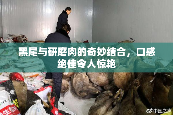 黑尾与研磨肉的奇妙结合，口感绝佳令人惊艳