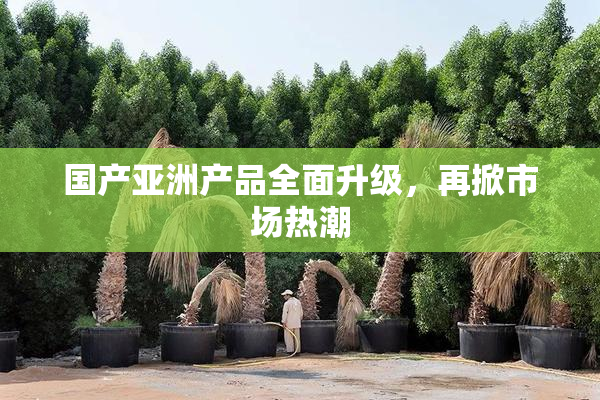国产亚洲产品全面升级，再掀市场热潮