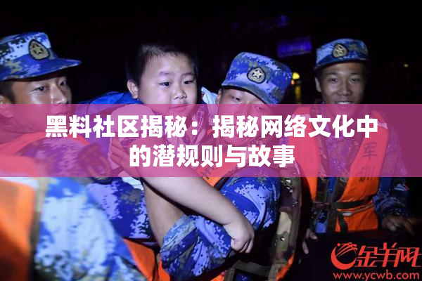 黑料社区揭秘：揭秘网络文化中的潜规则与故事