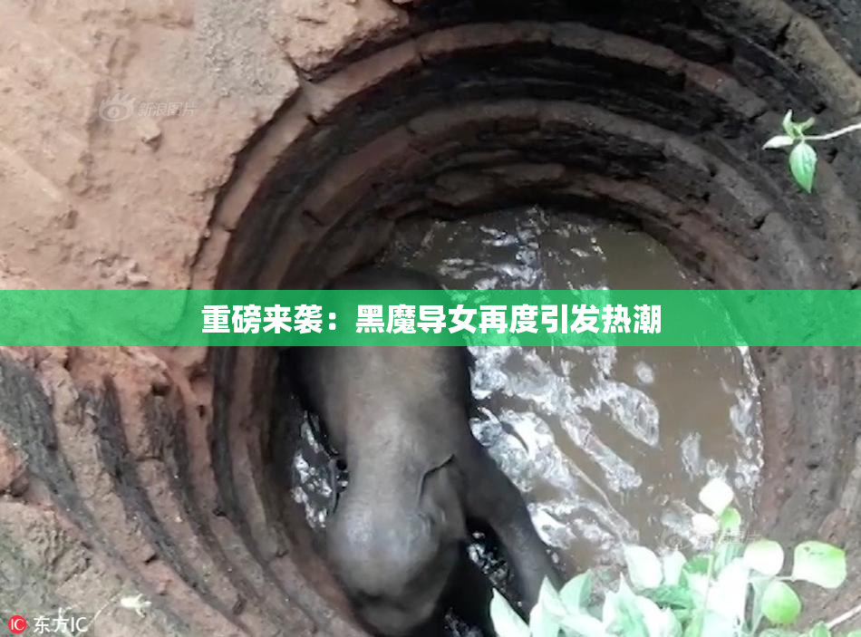 重磅来袭：黑魔导女再度引发热潮