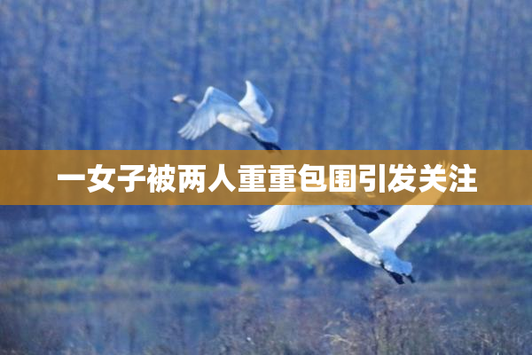 一女子被两人重重包围引发关注