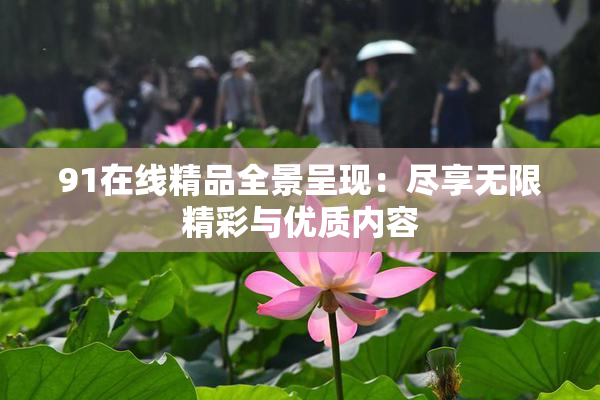 91在线精品全景呈现：尽享无限精彩与优质内容