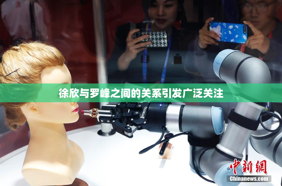 徐欣与罗峰之间的关系引发广泛关注