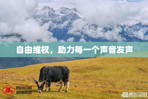 自由维权，助力每一个声音发声
