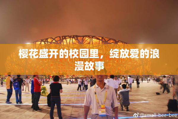 樱花盛开的校园里，绽放爱的浪漫故事