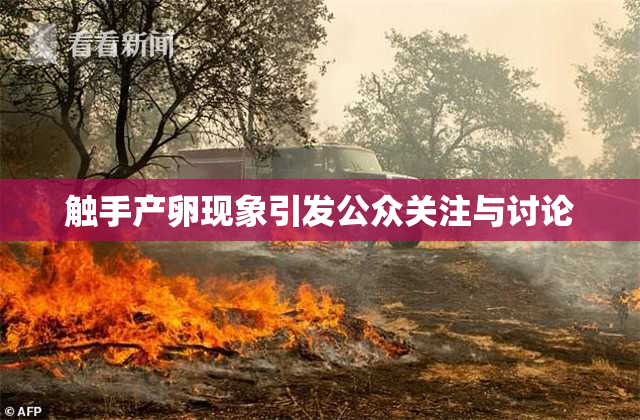 触手产卵现象引发公众关注与讨论