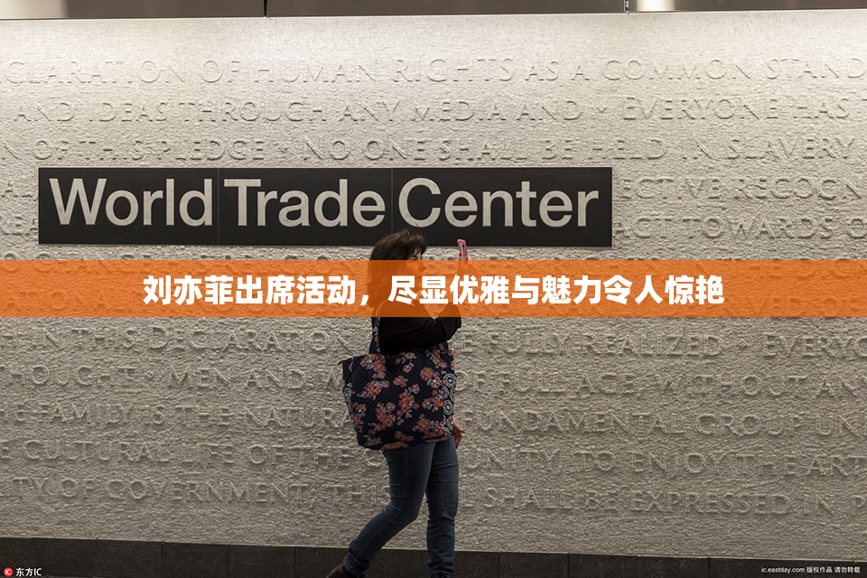 刘亦菲出席活动，尽显优雅与魅力令人惊艳