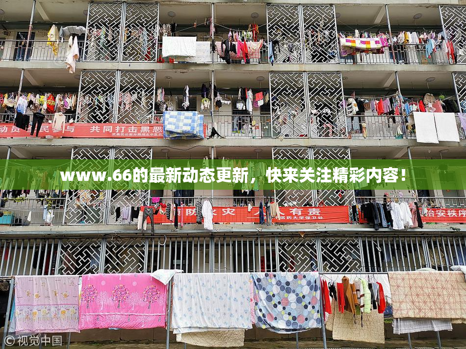 www.66的最新动态更新，快来关注精彩内容！