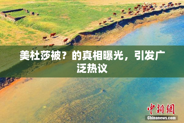 美杜莎被？的真相曝光，引发广泛热议