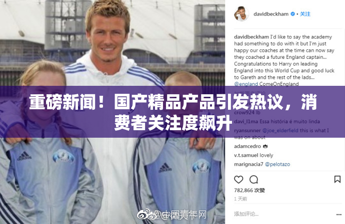 重磅新闻！国产精品产品引发热议，消费者关注度飙升