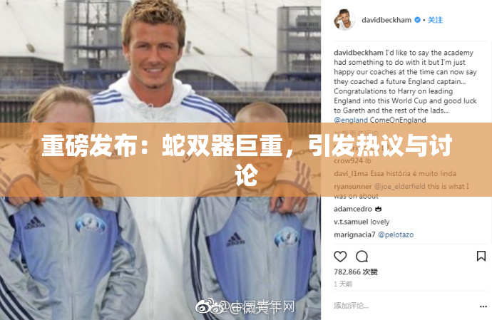 重磅发布：蛇双器巨重，引发热议与讨论