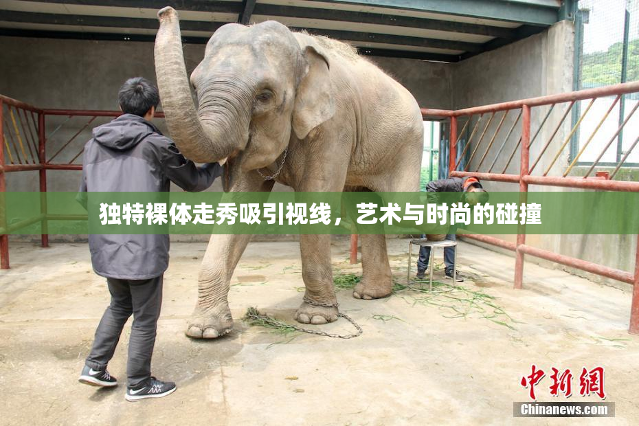 独特裸体走秀吸引视线，艺术与时尚的碰撞