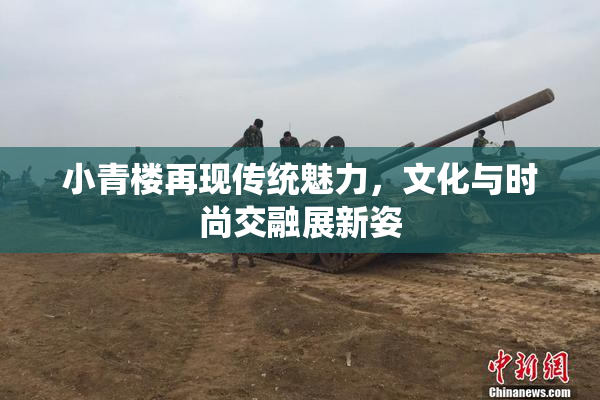 小青楼再现传统魅力，文化与时尚交融展新姿