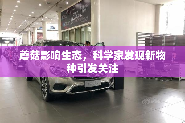 蘑菇影响生态，科学家发现新物种引发关注