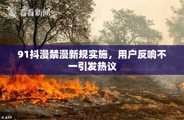 91抖漫禁漫新规实施，用户反响不一引发热议