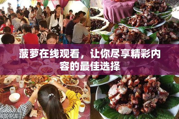 菠萝在线观看，让你尽享精彩内容的最佳选择