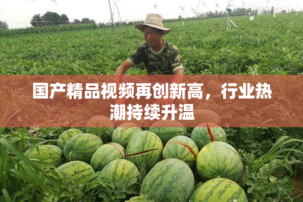国产精品视频再创新高，行业热潮持续升温