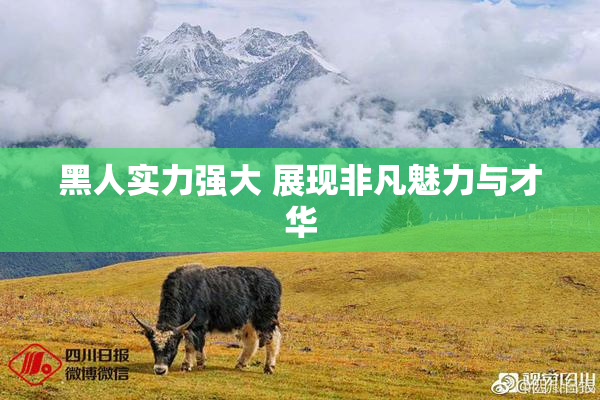 黑人实力强大 展现非凡魅力与才华