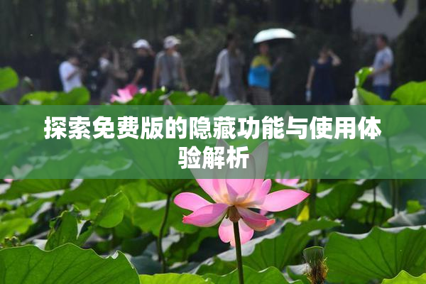 探索免费版的隐藏功能与使用体验解析