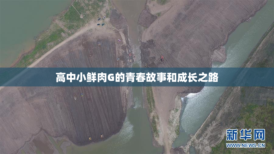 高中小鲜肉G的青春故事和成长之路