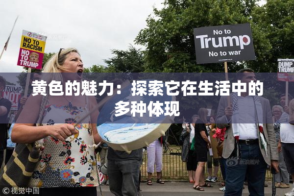 黄色的魅力：探索它在生活中的多种体现