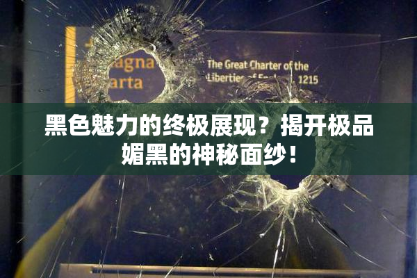 黑色魅力的终极展现？揭开极品媚黑的神秘面纱！