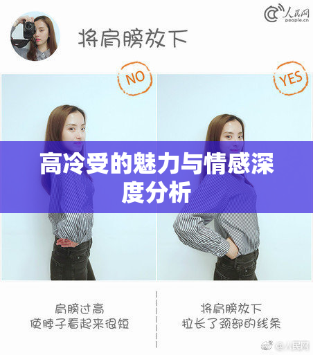 高冷受的魅力与情感深度分析