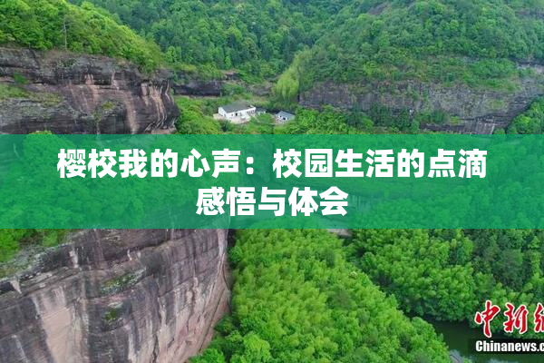 樱校我的心声：校园生活的点滴感悟与体会