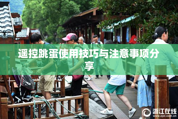 遥控跳蛋使用技巧与注意事项分享