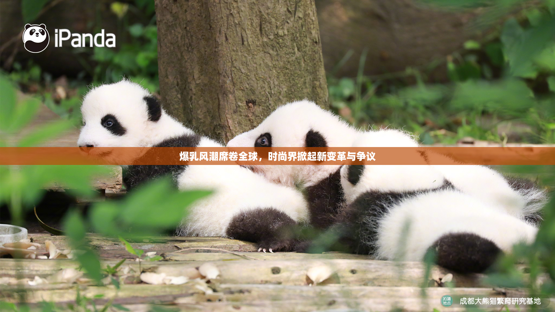 爆乳风潮席卷全球，时尚界掀起新变革与争议
