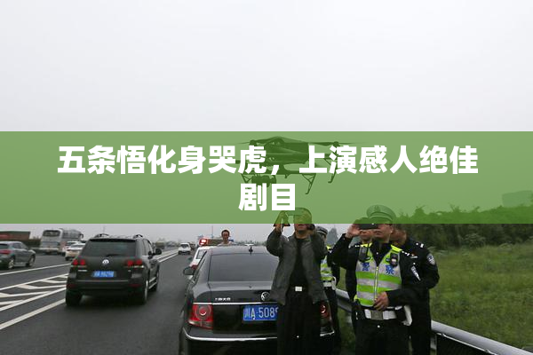 五条悟化身哭虎，上演感人绝佳剧目