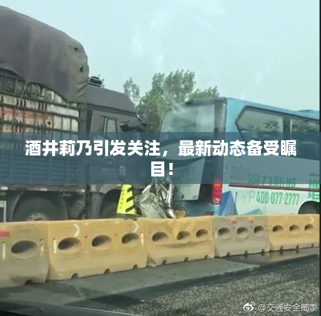 酒井莉乃引发关注，最新动态备受瞩目！