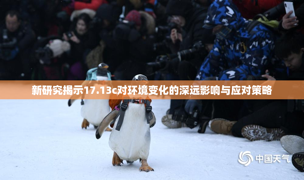 新研究揭示17.13c对环境变化的深远影响与应对策略