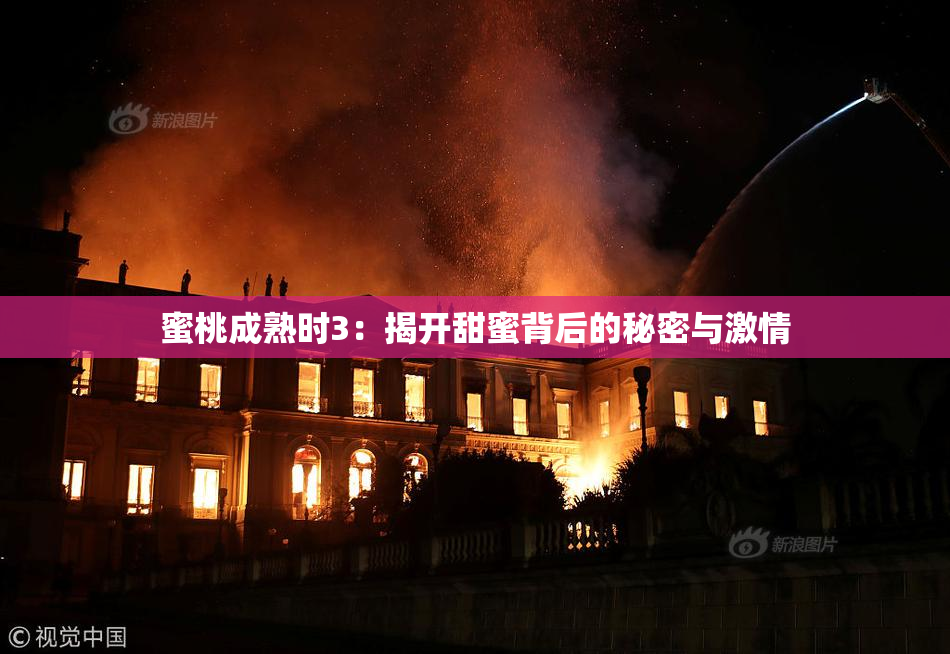 蜜桃成熟时3：揭开甜蜜背后的秘密与激情