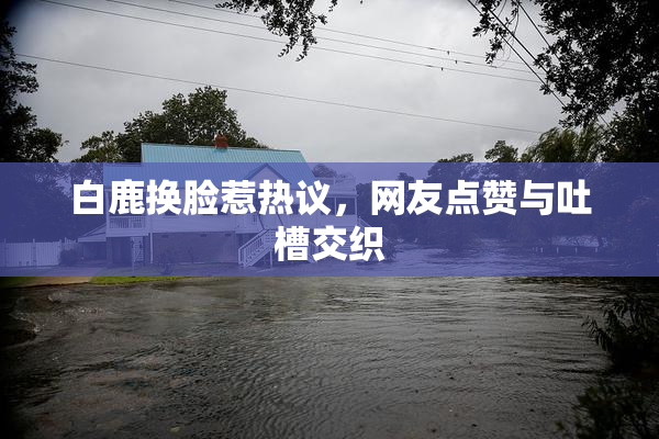 白鹿换脸惹热议，网友点赞与吐槽交织