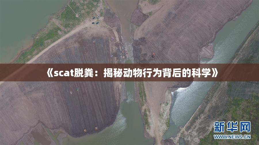 《scat脱粪：揭秘动物行为背后的科学》