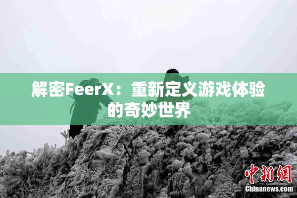 解密FeerX：重新定义游戏体验的奇妙世界