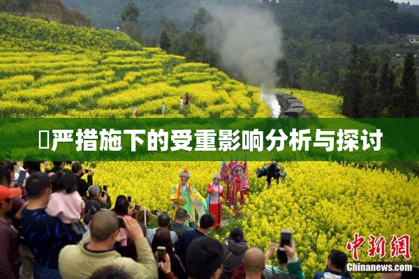 囯严措施下的受重影响分析与探讨