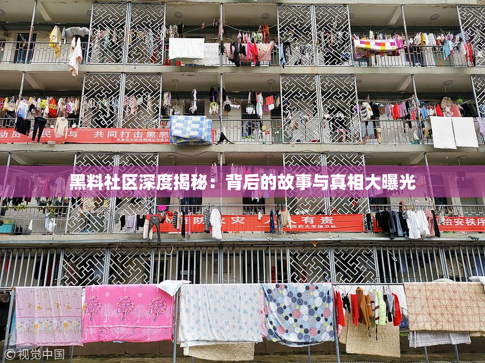 黑料社区深度揭秘：背后的故事与真相大曝光