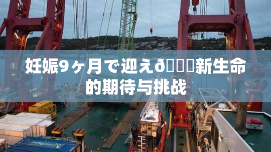妊娠9ヶ月で迎え🌃新生命的期待与挑战