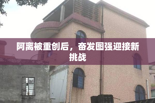 阿离被重创后，奋发图强迎接新挑战