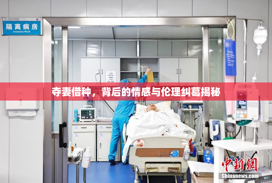 夺妻借种，背后的情感与伦理纠葛揭秘