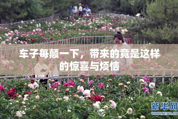 车子每颠一下，带来的竟是这样的惊喜与烦恼