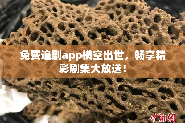 免费追剧app横空出世，畅享精彩剧集大放送！