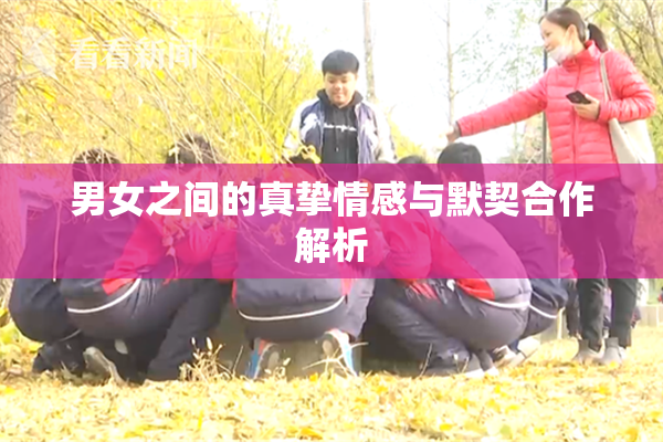 男女之间的真挚情感与默契合作解析