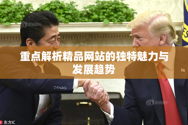 重点解析精品网站的独特魅力与发展趋势