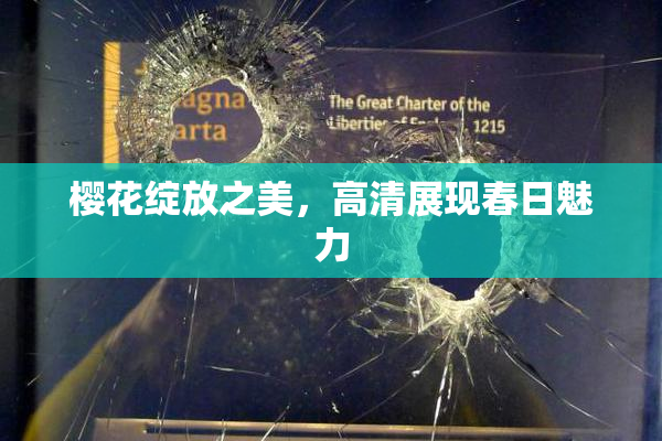 樱花绽放之美，高清展现春日魅力