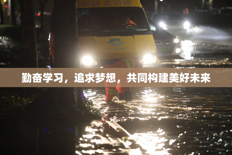 勤奋学习，追求梦想，共同构建美好未来