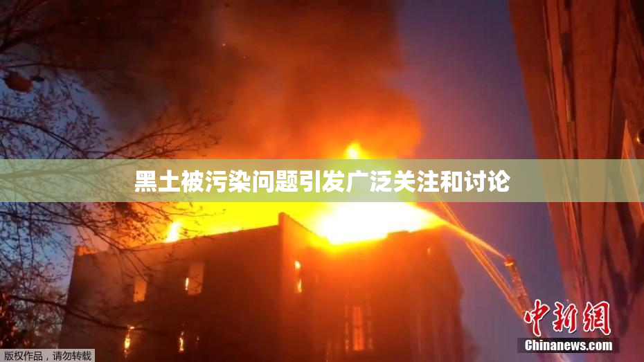 黑土被污染问题引发广泛关注和讨论