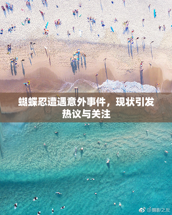 蝴蝶忍遭遇意外事件，现状引发热议与关注